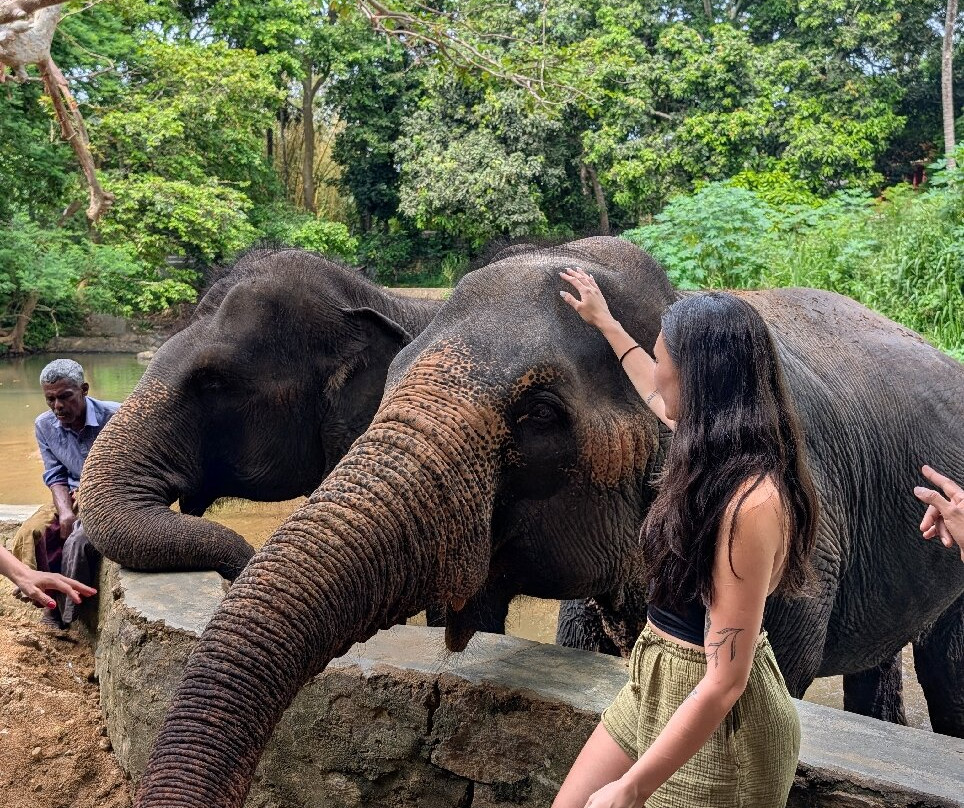 Elephant Freedom Project-凯格勒 必去景点