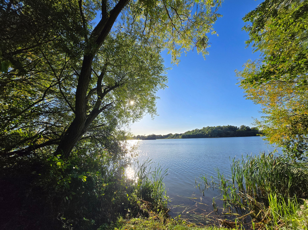 Little Marlow Lakes Country Park-Little Marlow必去景点