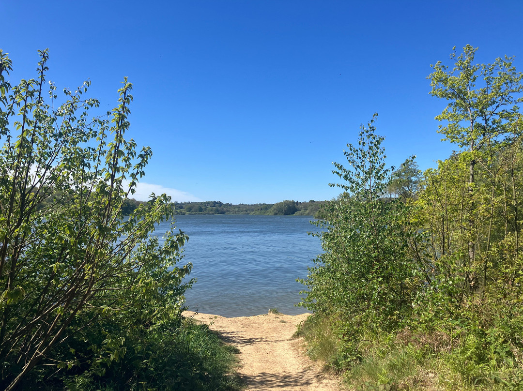 Bewl Water-Lamberhurst必去景点