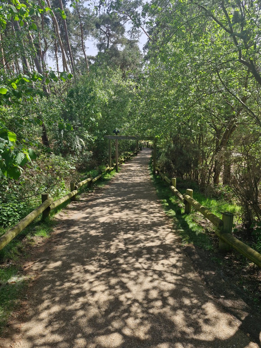 Center Parcs Woburn Forest-旅行者
