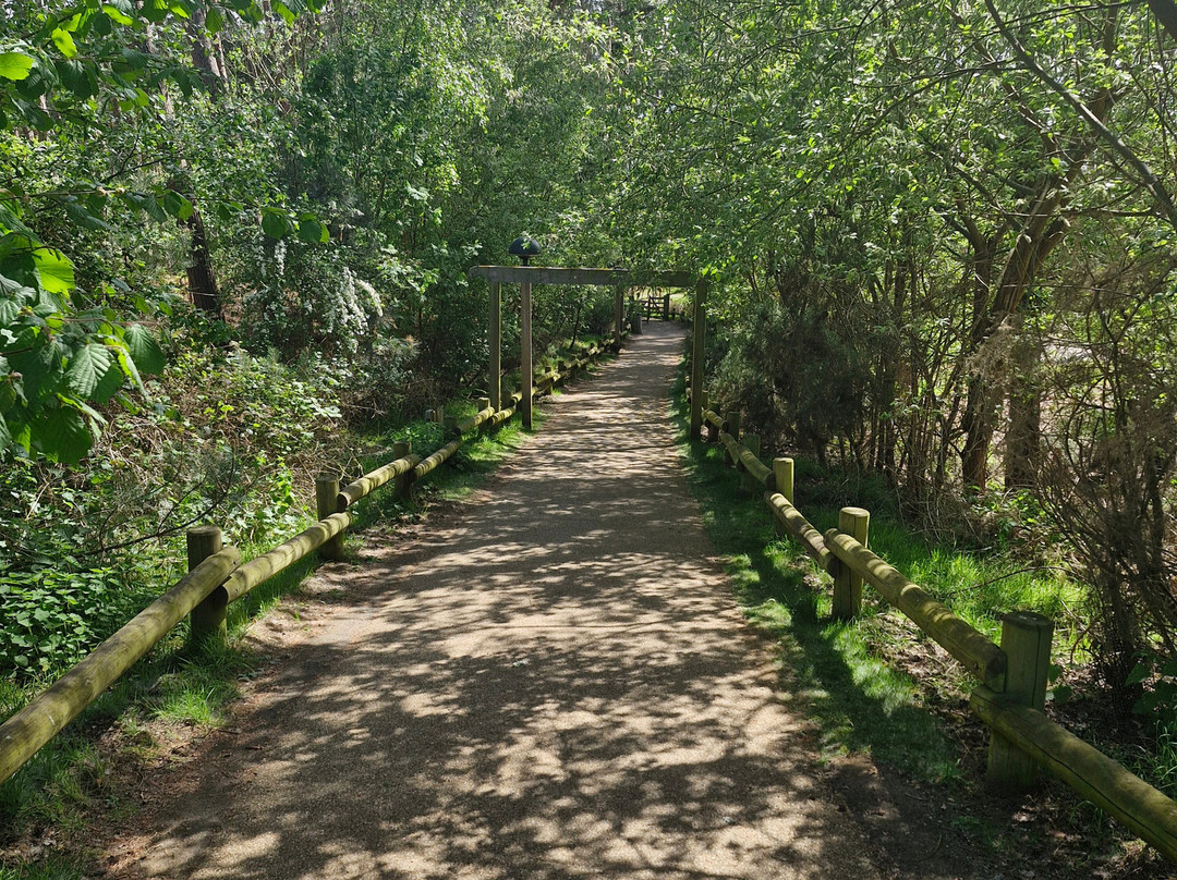 Center Parcs Woburn Forest主图