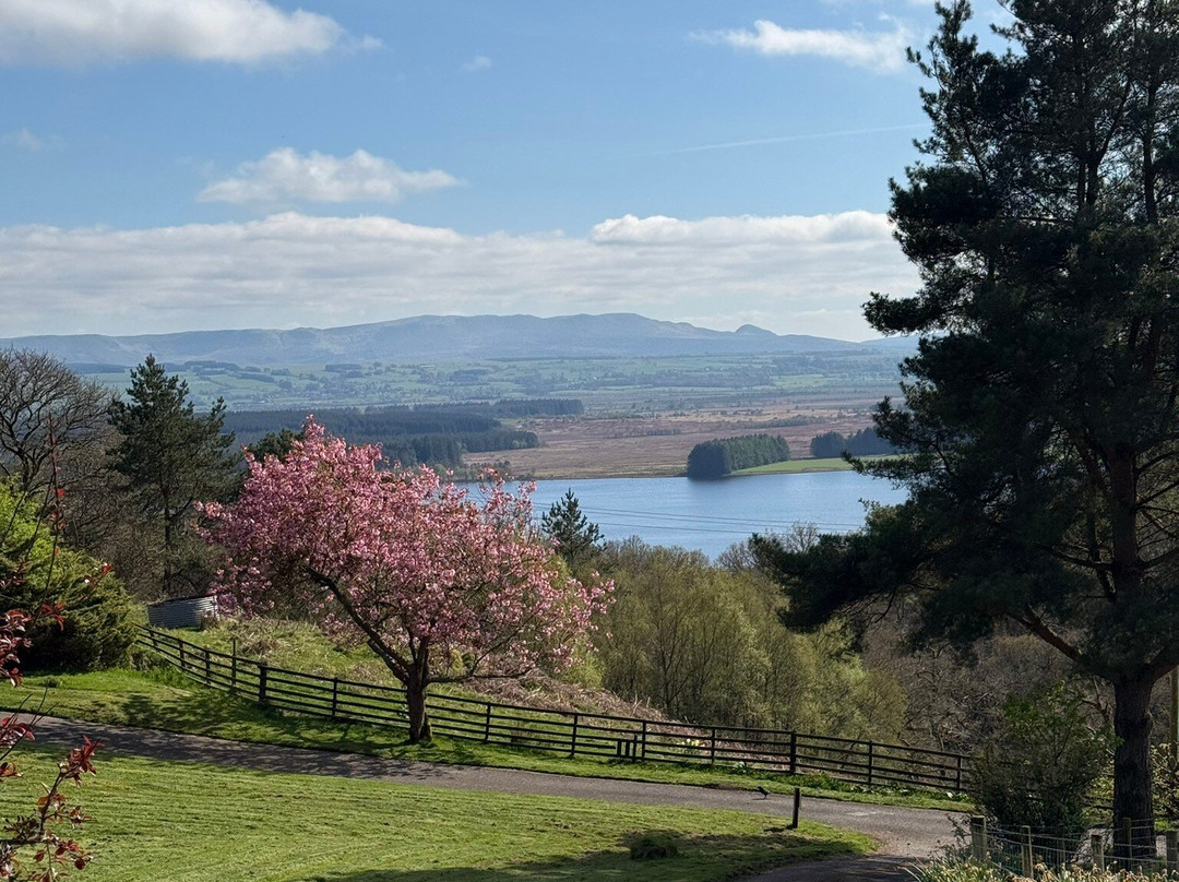 Nether Glenny Farm - Coos and Views-斯特灵必去景点