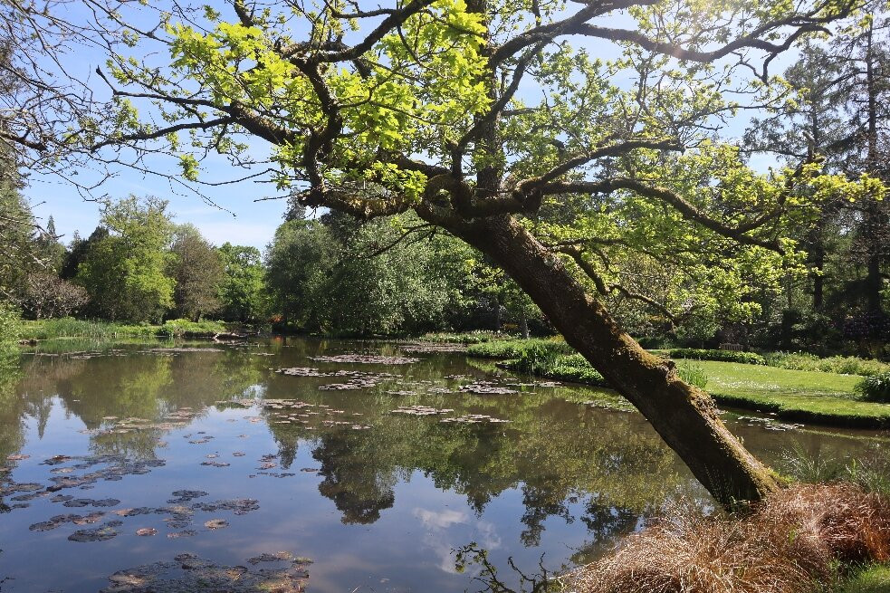 Longstock Water Gardens-Stockbridge必去景点