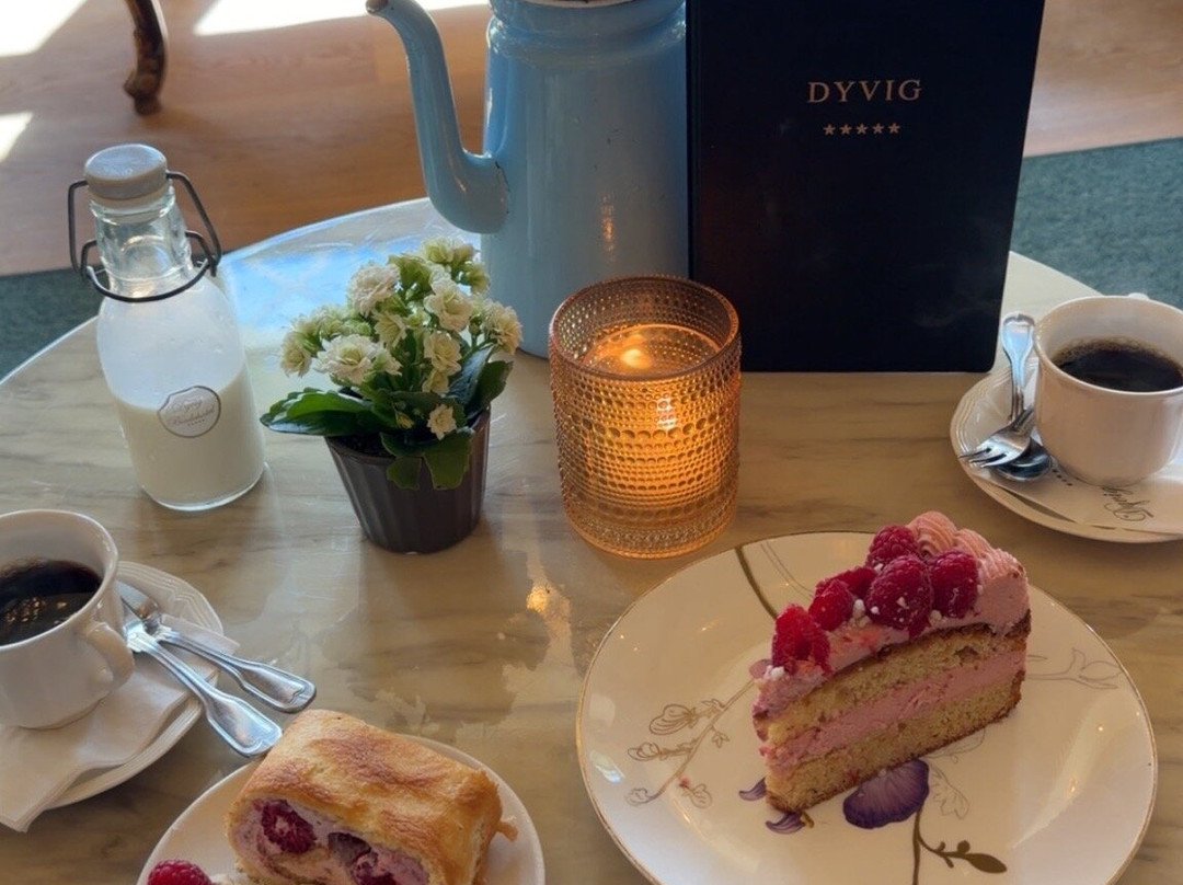 Dyvig Badehotel主图