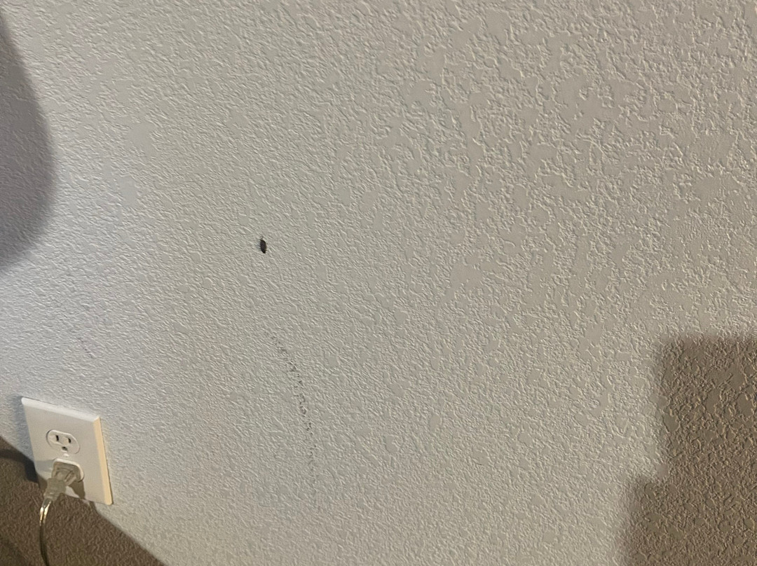 贝尔蒙特红木海岸凯悦嘉寓酒店主图