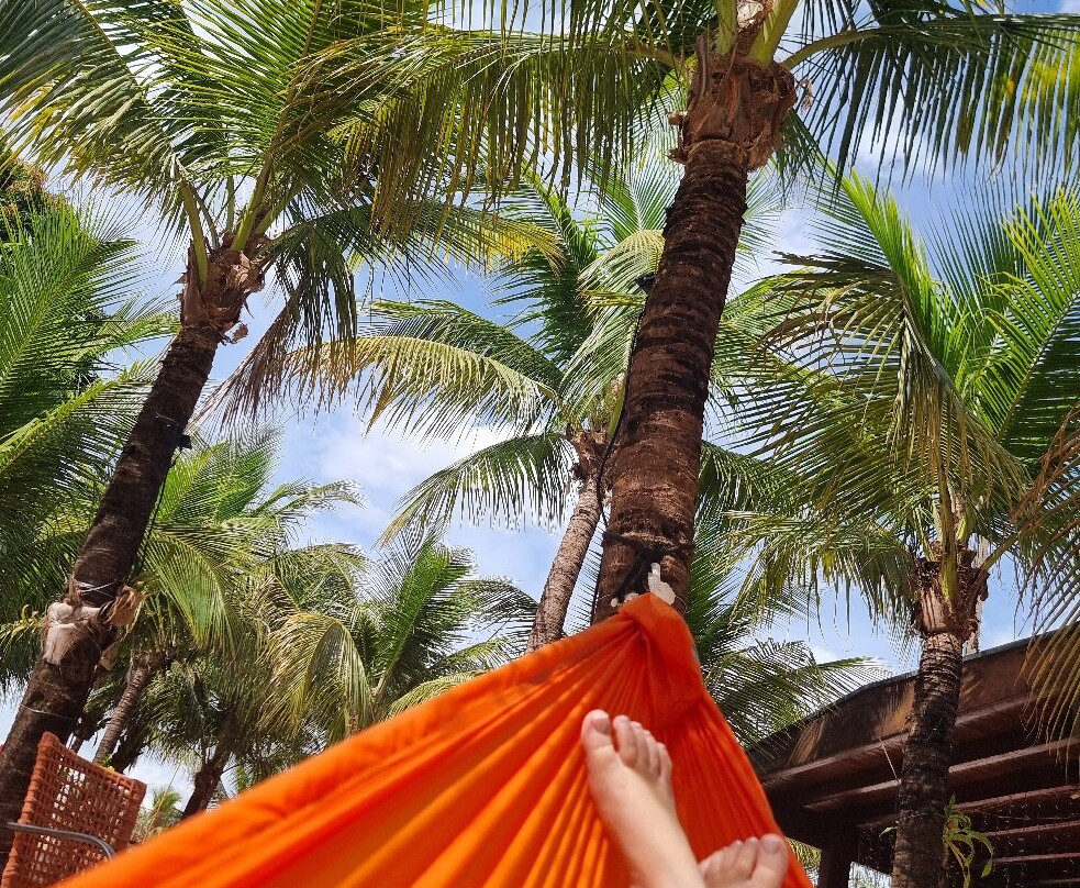 Carpe Diem Eco Resort 奥林匹亚主图