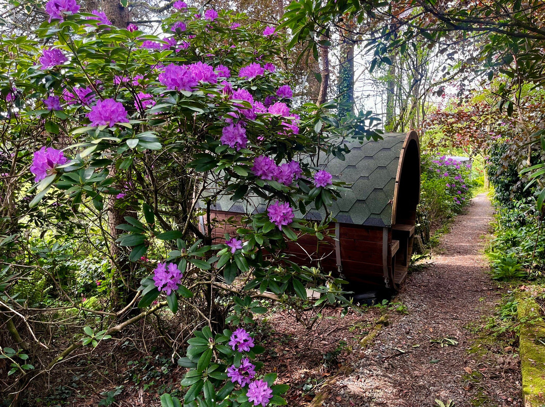 The Greenhouse Spa Retreat-索尔塔什必去景点