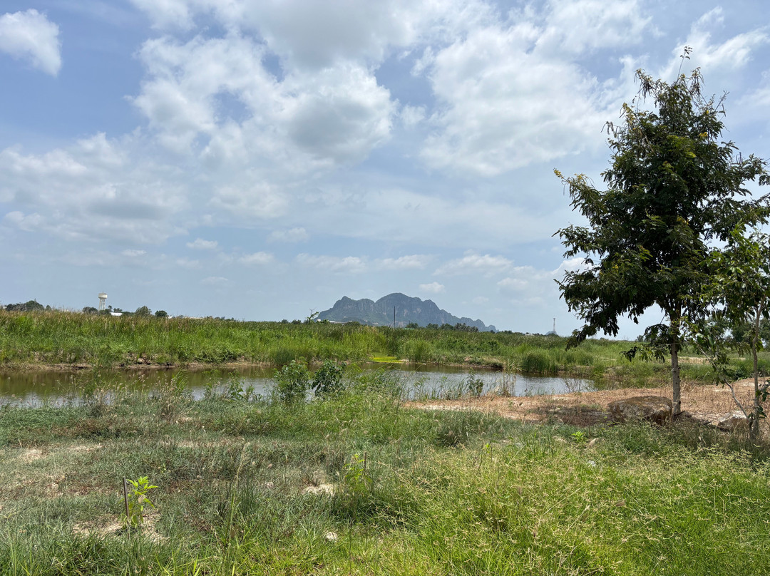 Cha-am Forest Park-七岩必去景点