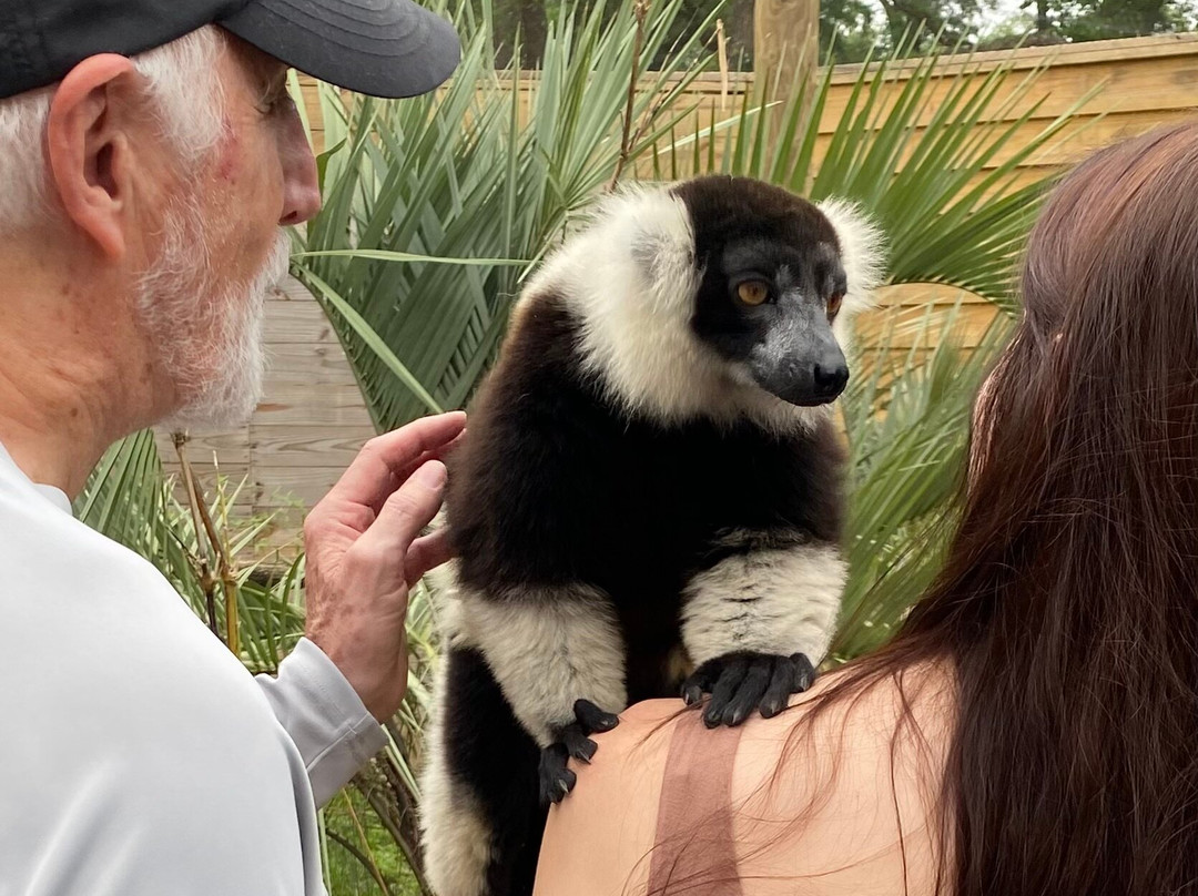 North Florida Wildlife Center-Lamont必去景点