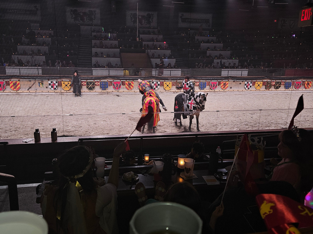 Medieval Times Dinner & Tournament-林德赫斯特必去景点