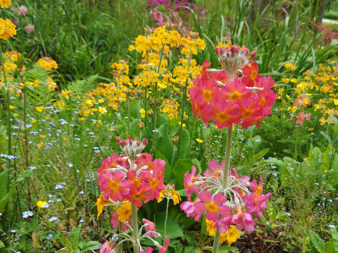 Himalayan Garden & Sculpture Park-Grewelthorpe必去景点