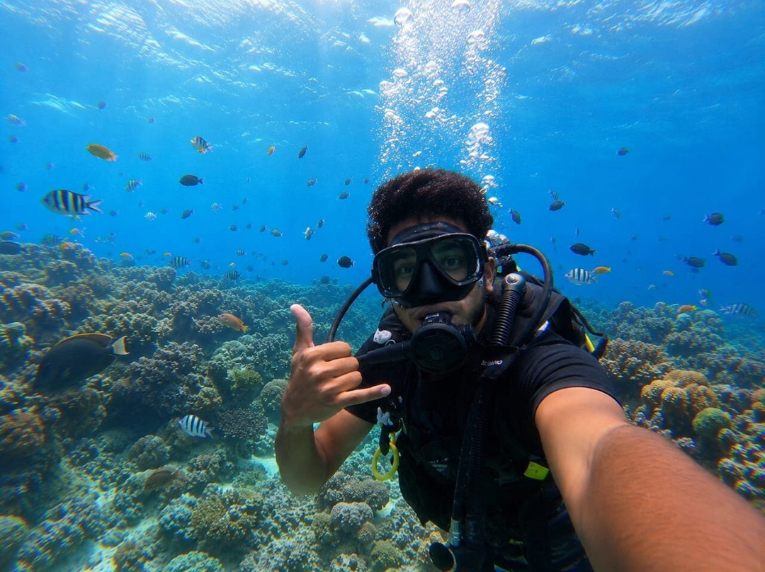 Diving Tours Mirissa-美蕊沙必去景点