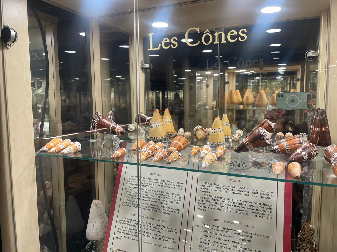 Museum du Coquillage-莱萨布勒多洛讷必去景点