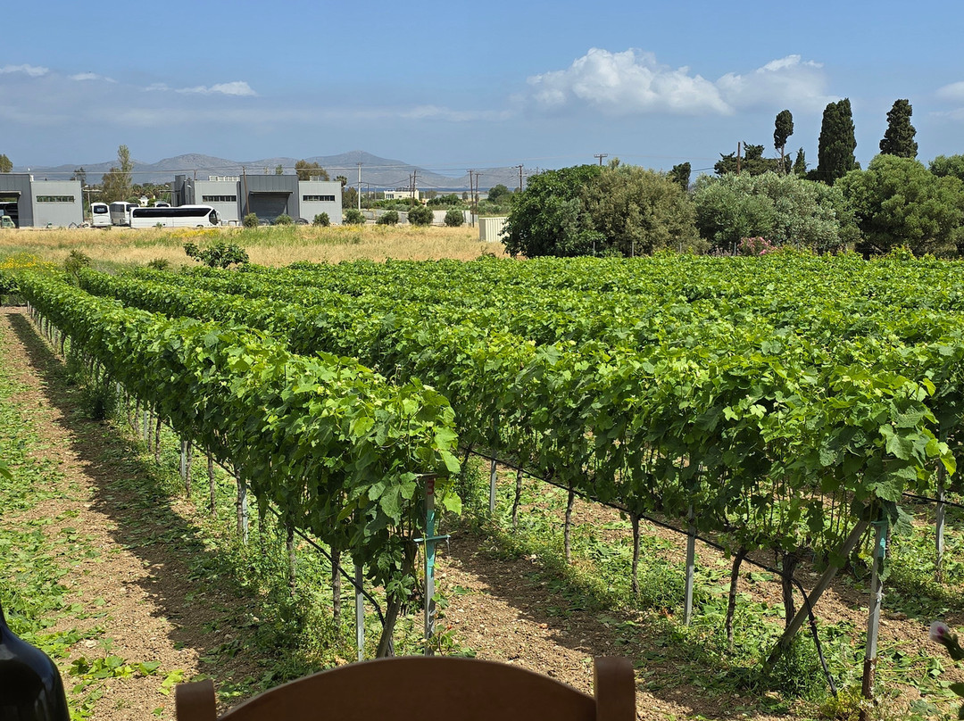 Petra Marinou Winery-Linopotis必去景点