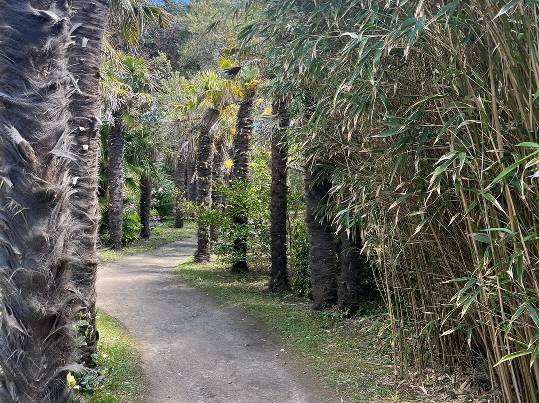 Jardin botanique de Vauville-Vauville必去景点