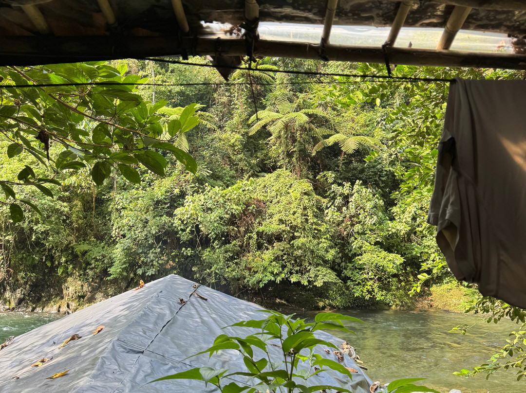Sumatra Tour Adventures-武吉拉旺必去景点