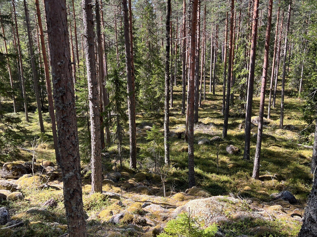 Kulhanvuori Hill Nature Reserve-Saarijärvi必去景点
