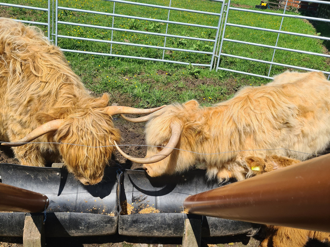 Craigbank Farm