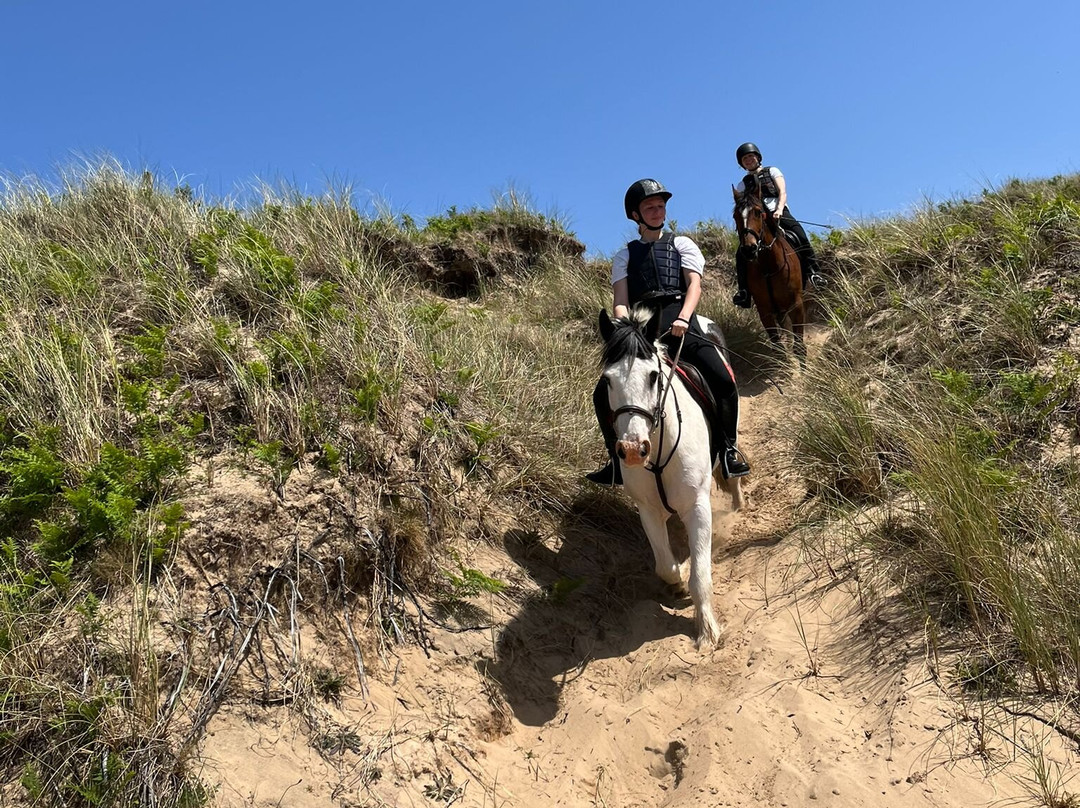 Shrule Equestrian Centre-Gorey必去景点