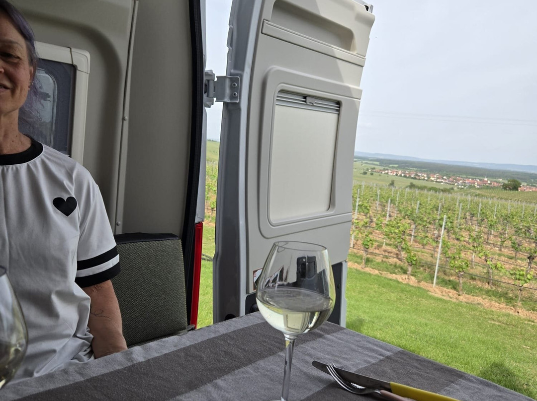Weingut Mangold