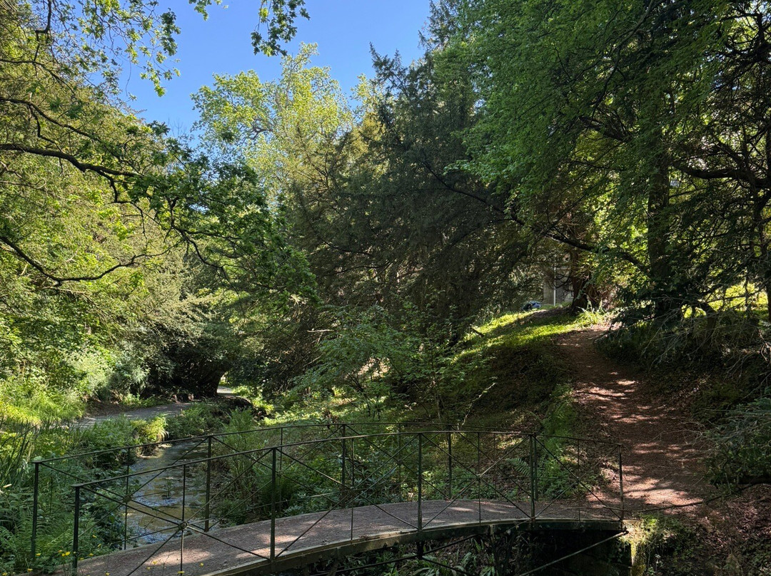Howick Hall Gardens & Arboretum-阿尼克必去景点
