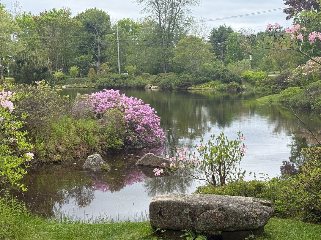 Asticou Azalea Garden-Northeast Harbor必去景点