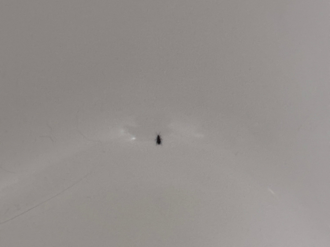 瓦尔蒙特温德姆速8酒店主图