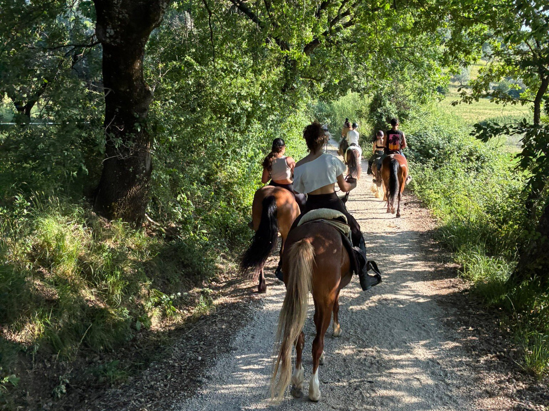 Sulla Collina di Castelnuovo di Farfa-Castelnuovo di Farfa必去景点