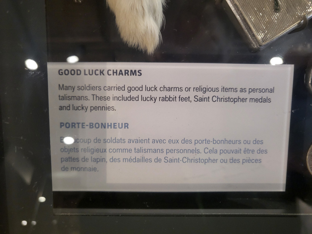 Normandy Visitors Center-滨海科勒维尔必去景点