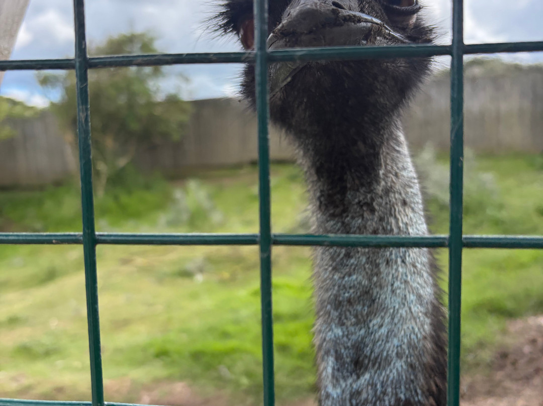 Mablethorpe Seal Sanctuary and Wildlife Centre-Mablethorpe必去景点