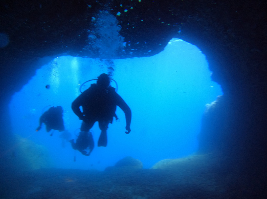 Blue Adventures Diving-干尼亚必去景点