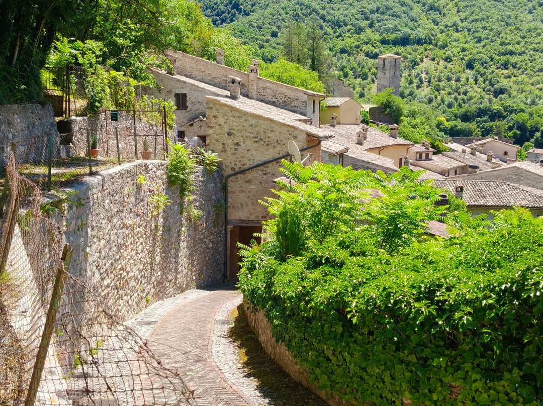 Museo delle Mummie - Centro di Documentazione Baronio Vincenzi-Borgo Cerreto必去景点