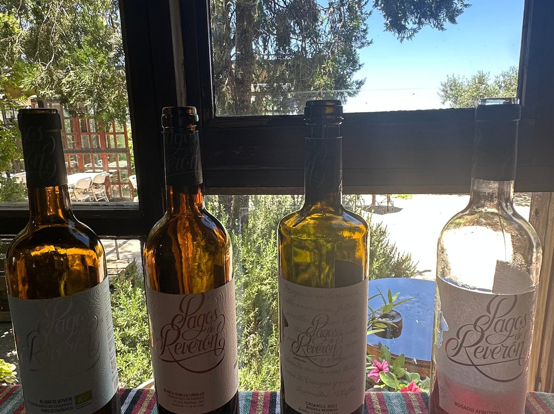 Bodegas Reverón-Vilaflor必去景点