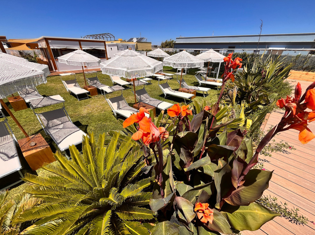 Cynara Solarium