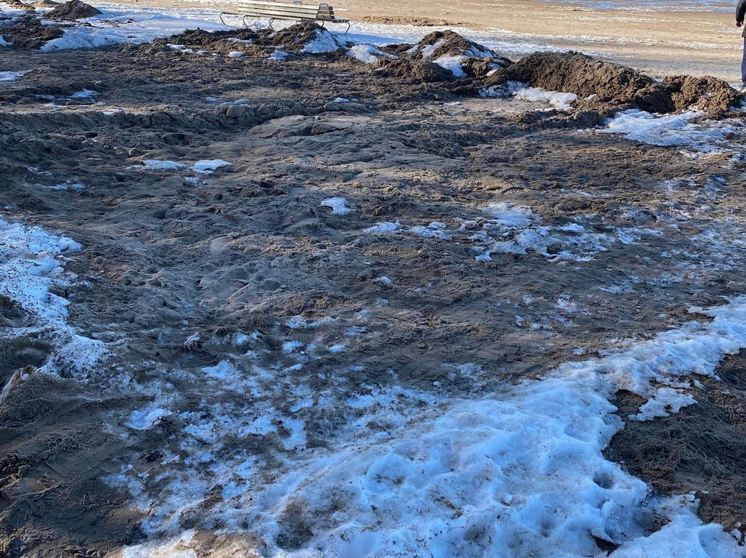 Jurmala Beach-尤尔马拉必去景点