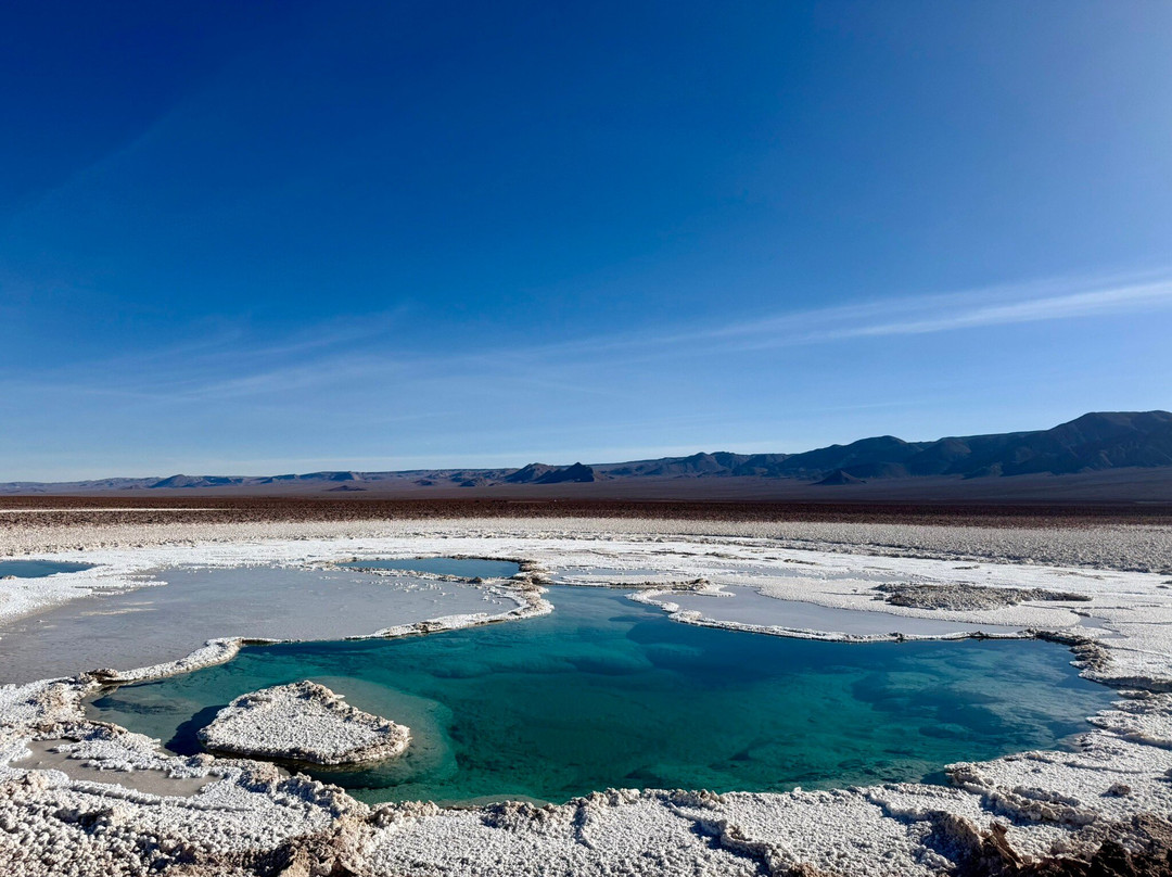 Lagunas Baltinache-圣佩德罗-德阿塔卡马必去景点