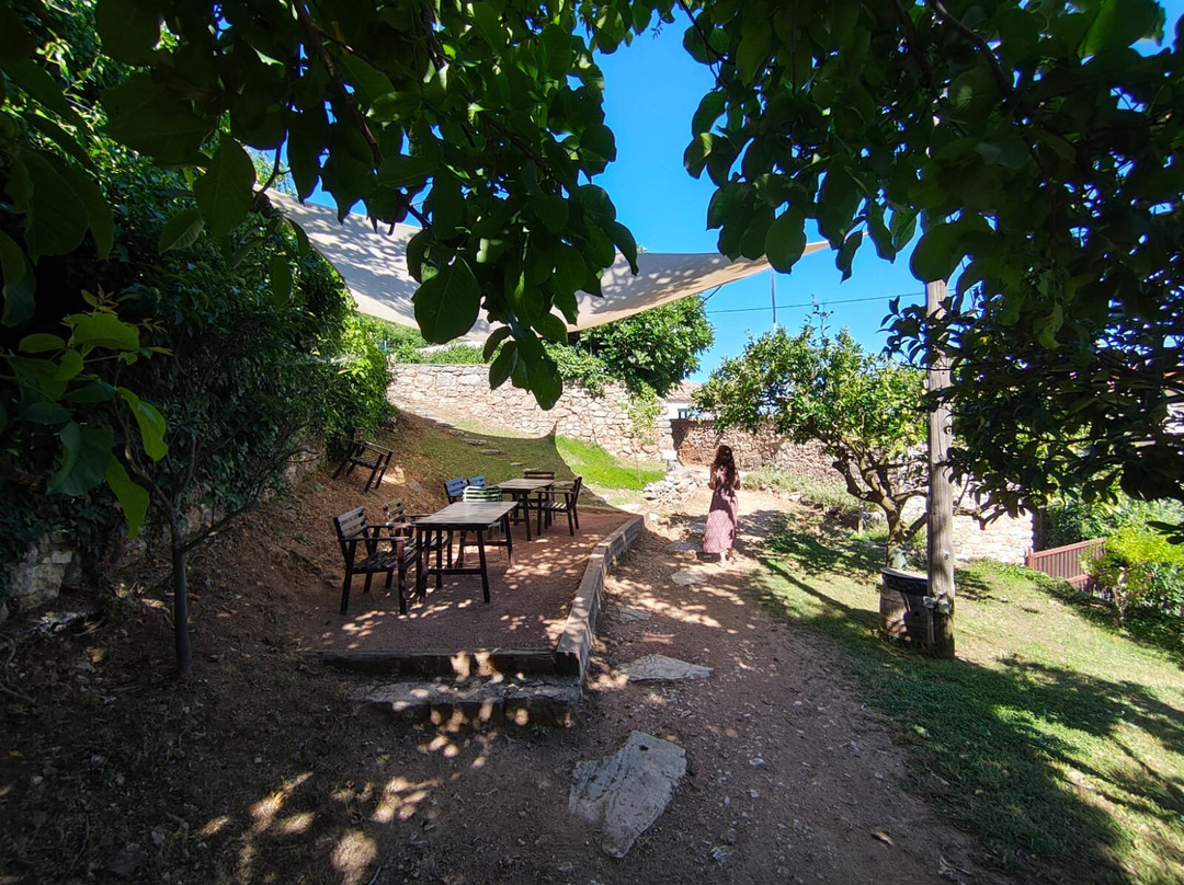 The Old Watermill-Kyparissia必去景点