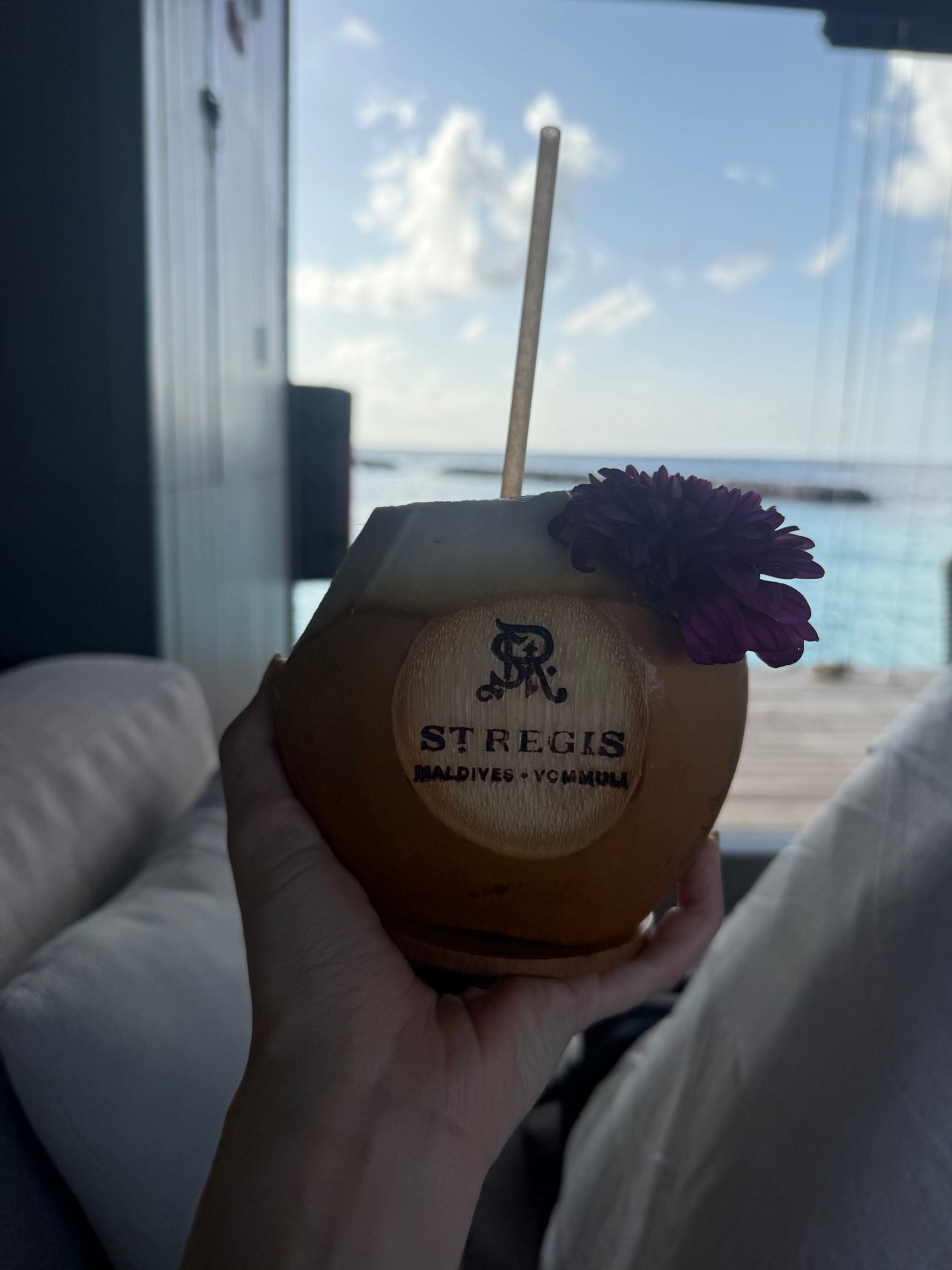 马尔代夫沃木里瑞吉度假酒店-旅行者