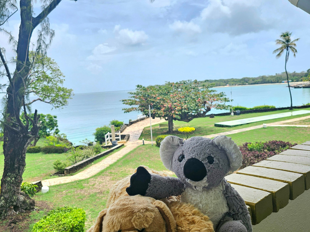 Crown Point Beach Hotel Limited主图