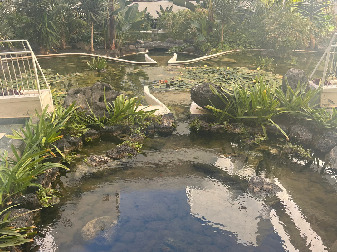 Paradisus Salinas Lanzarote –  全包 - 仅限成人主图