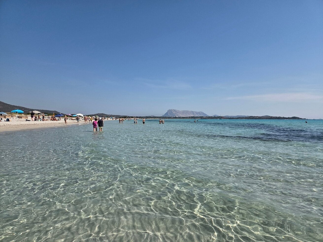 Spiaggia La Cinta-San Teodoro必去景点