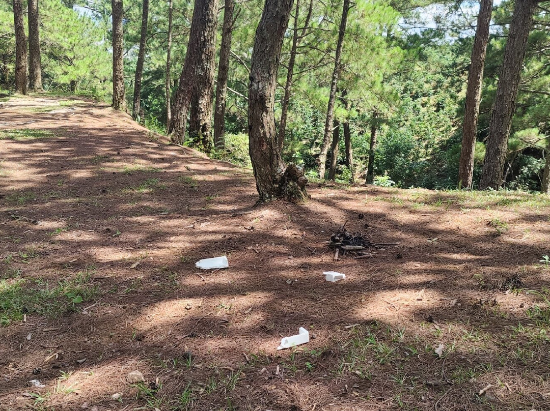 Lang Biang Trail-大勒必去景点