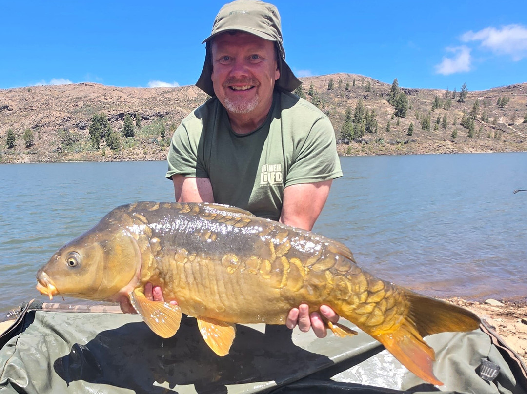 Carp Gran Canaria-San Bartolome de Tirajana必去景点