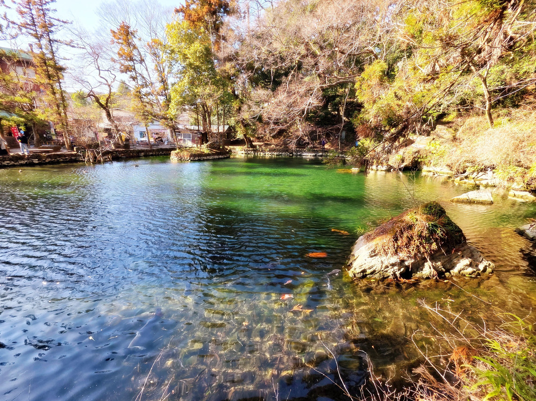 Izuruhara Benten Pond-佐野市必去景点