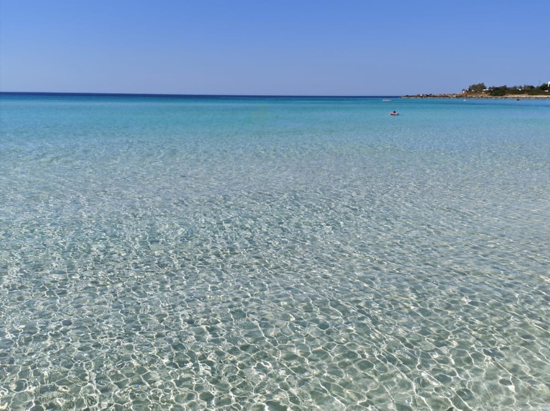 Spiaggia di Punta Prosciuto-Punta Prosciutto必去景点