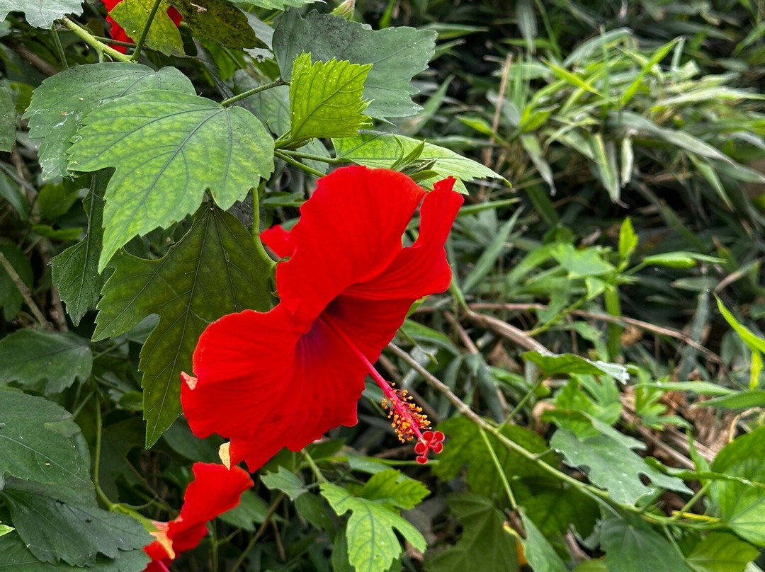 Butterfly World & Farm Park-Wanborough必去景点