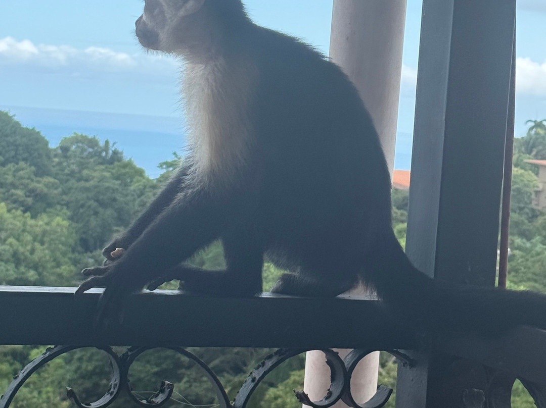 ILT Costa Rica-圣何塞必去景点