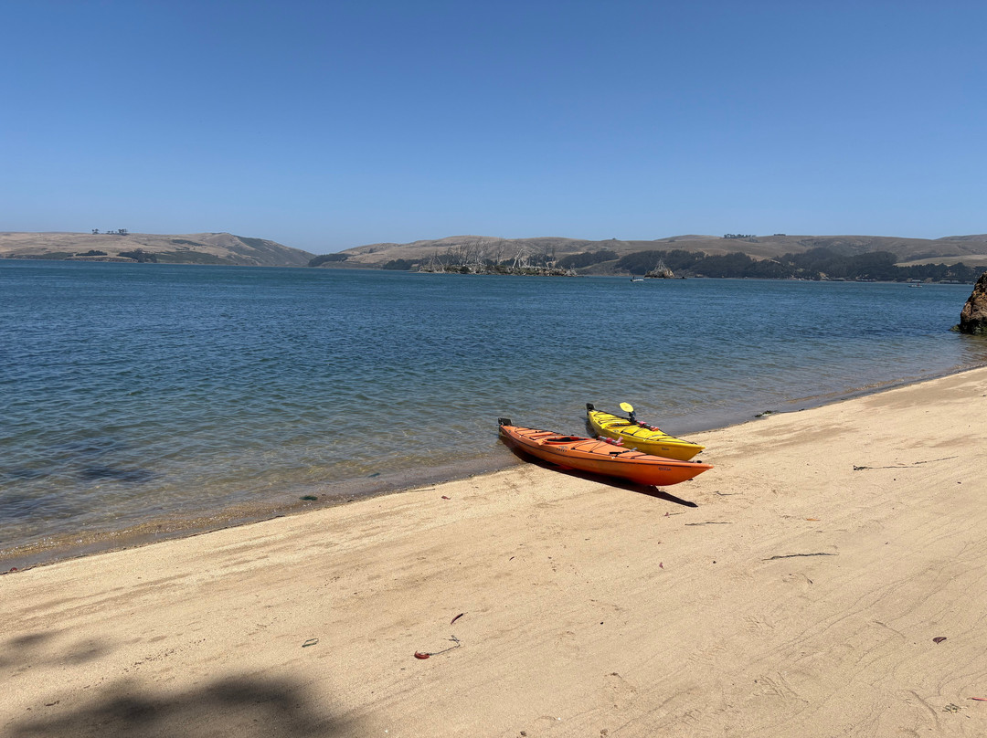 Point Reyes Adventure Co.-Point Reyes Station必去景点