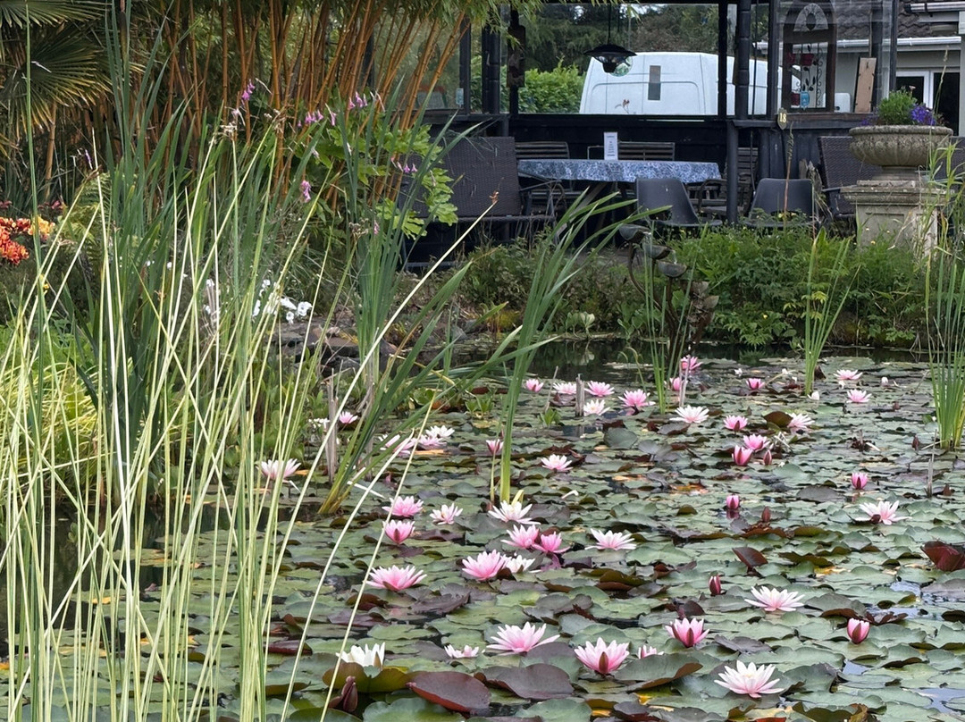 Coolwater Garden-利默里克必去景点
