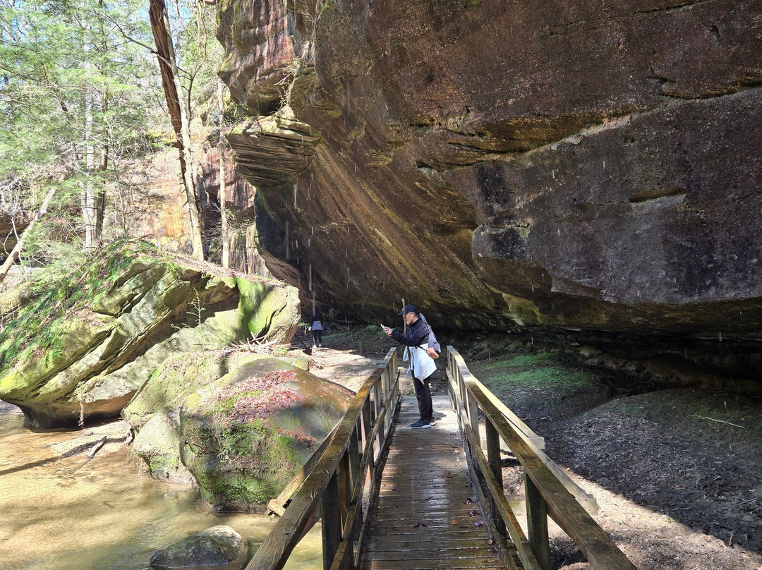 Dismals Canyon-Haleyville必去景点